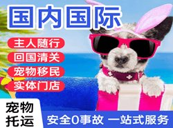 西双版纳嘎洒空运国际宠物托运 【国